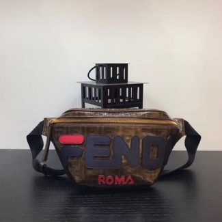 펜디 멀티 컬러의 캔버스 벨트 백 8BM006